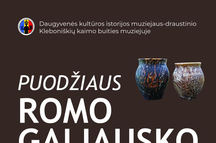 0001_galiauskas_a3_1791466505-34dcba08e024fba4d09daa7f06903472.jpg