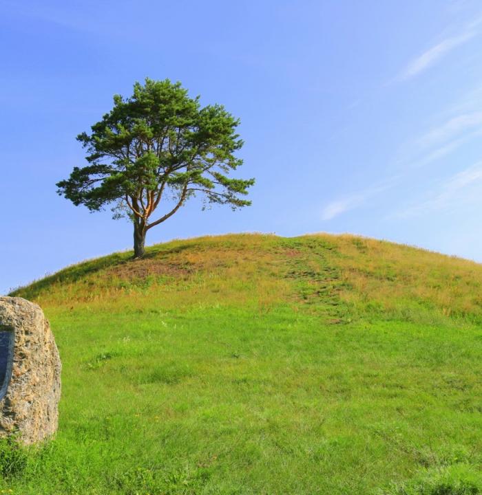 Raginėnai Archaeological site